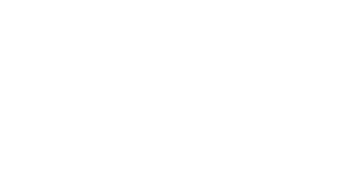 DEXIS Logo Le Vulcain Blanc